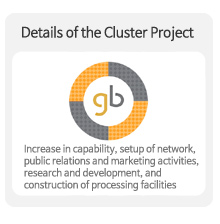 Details of the Cluster Project